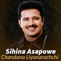 Portrait photo of the artist Chandana Liyanarachchi