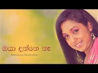 Portrait photo of the artist Manjula Dilrukshi