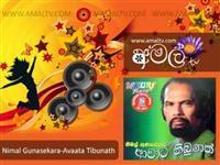 Portrait photo of the artist Nimal Gunasekara