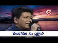 Portrait photo of the artist Shalitha Abeywickrema