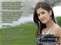 Portrait photo of the artist Somathilaka Jayamaha