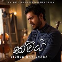 Portrait photo of the artist Vidula Ravishara